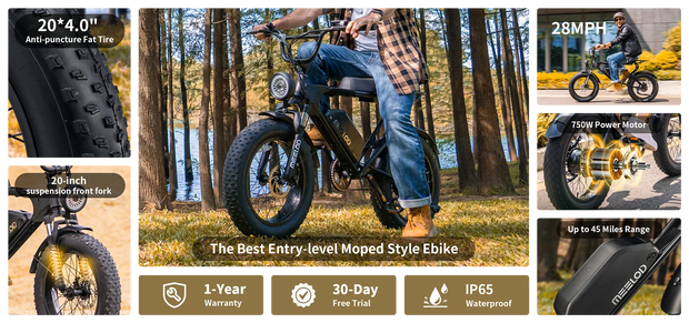 MEELOD DK200 20" Retro Moped Style Electric Bike 750W Motor 48V 13Ah Battery