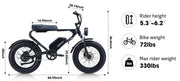 MEELOD DK200 20" Retro Moped Style Electric Bike 750W Motor 48V 13Ah Battery