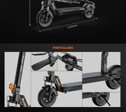 RuiToo RT6 1000W powerful  48V18.2AH Drive Electric scooters electr 10inch Tires Folding eScooter For Adult Raycool