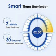 Sonic Rechargeable Rotary Electric Toothbrush Adult Waterproof with Timer 5 Modes & 4 Replaceable Brush Heads for Teeth Cleaning