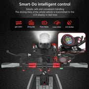 Foldable 800W 48V 10INCH Electric Scooter for Adult, Portable Scooter , European and UK Warehouse