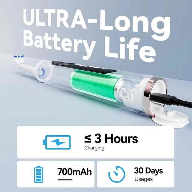 Seago Rotating Electric Toothbrush for Adults with 8 Toothbrush Heads and Travel Box Smart Display 5 Modes Waterproof SG-2607